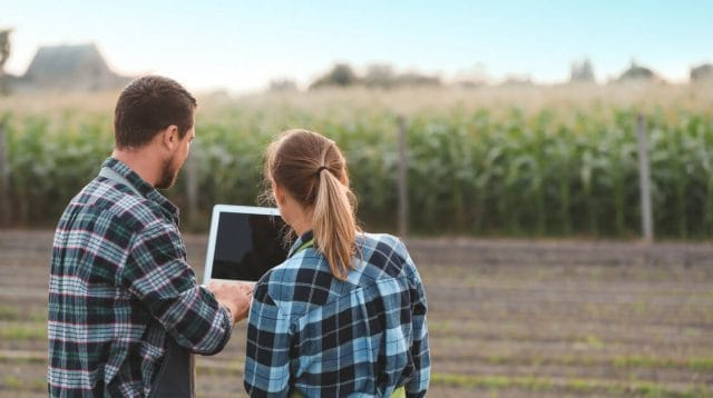 Two agricultural engineers working in a field looking at a laptop screen